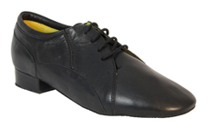 Mens Standard and Smooth Ballroom Dance Shoes